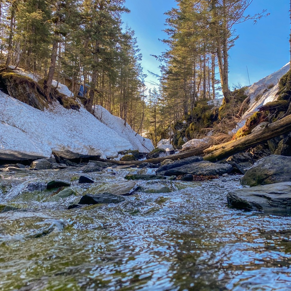 Meet your Posher, Julia